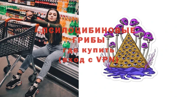 mdpv Арсеньев