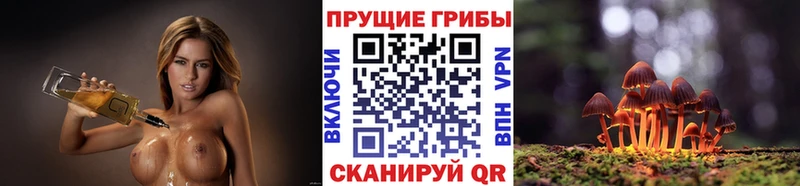 цены наркотик  Любань  Псилоцибиновые грибы Cubensis 